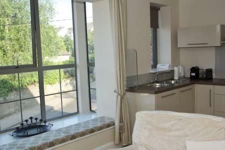 Oakleigh House, Apartment 1 كورك المظهر الخارجي الصورة